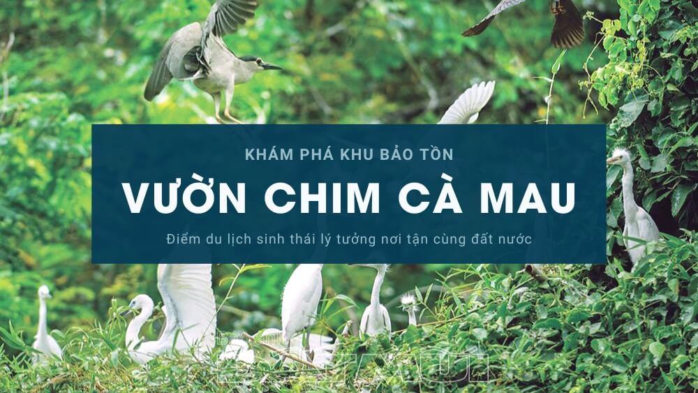 Điểm du lịch sinh thái lý tưởng cho kỳ nghỉ tết dương lịch 2024 