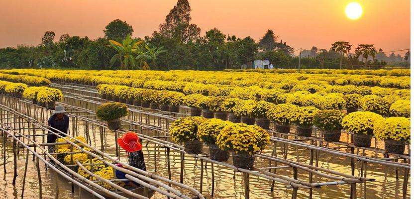 Khám phá thủ phủ hoa của miền Tây, cực đẹp vào những ngày cuối năm mê lòng người